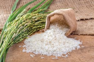 campuchia xuất khẩu gạo sang trung quốc