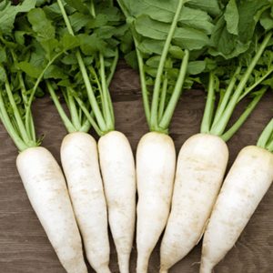 Phương pháp trồng củ cải