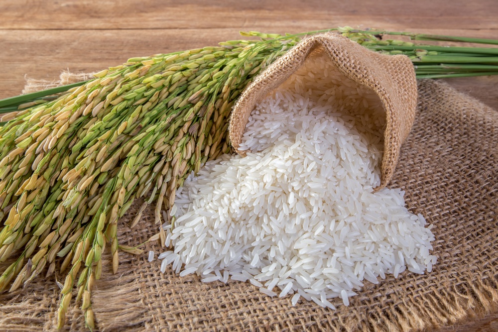 Việt Nam nhập khẩu gạo từ ấn độ