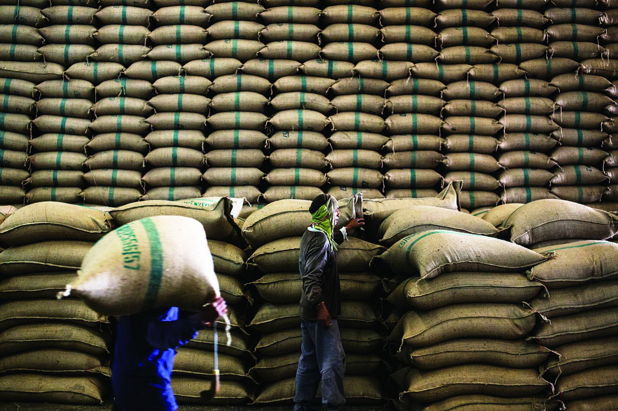 Ấn Độ xuất khẩu gạo ra thế giới