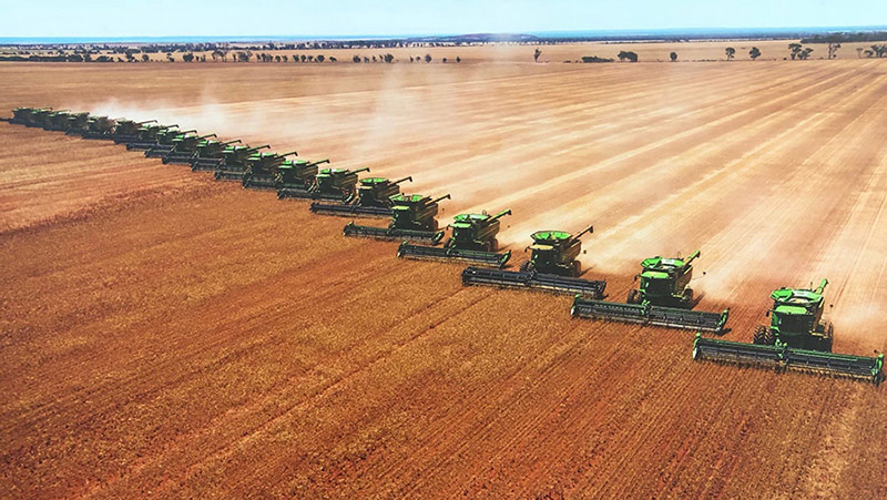 Sản lượng và xuất khẩu lúa mì của Úc