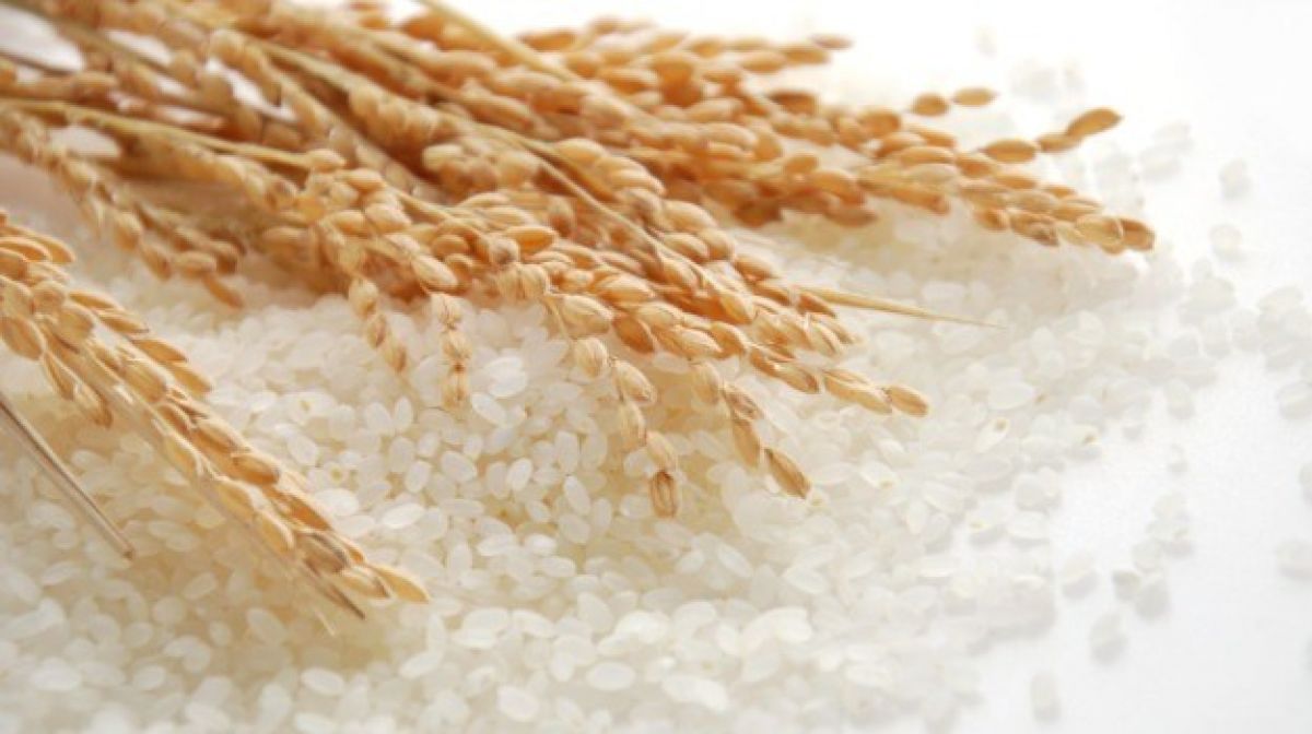 Giá gạo tại Ấn Độ tăng cao