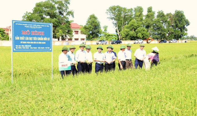 Đặc sản lúa hữu cơ được sản xuất thành công tại Hà Tĩnh