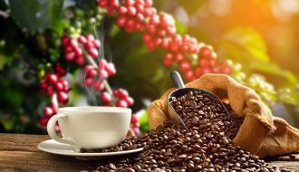 Nghiên cứu tổng quan về thị trường cà phê thế giới