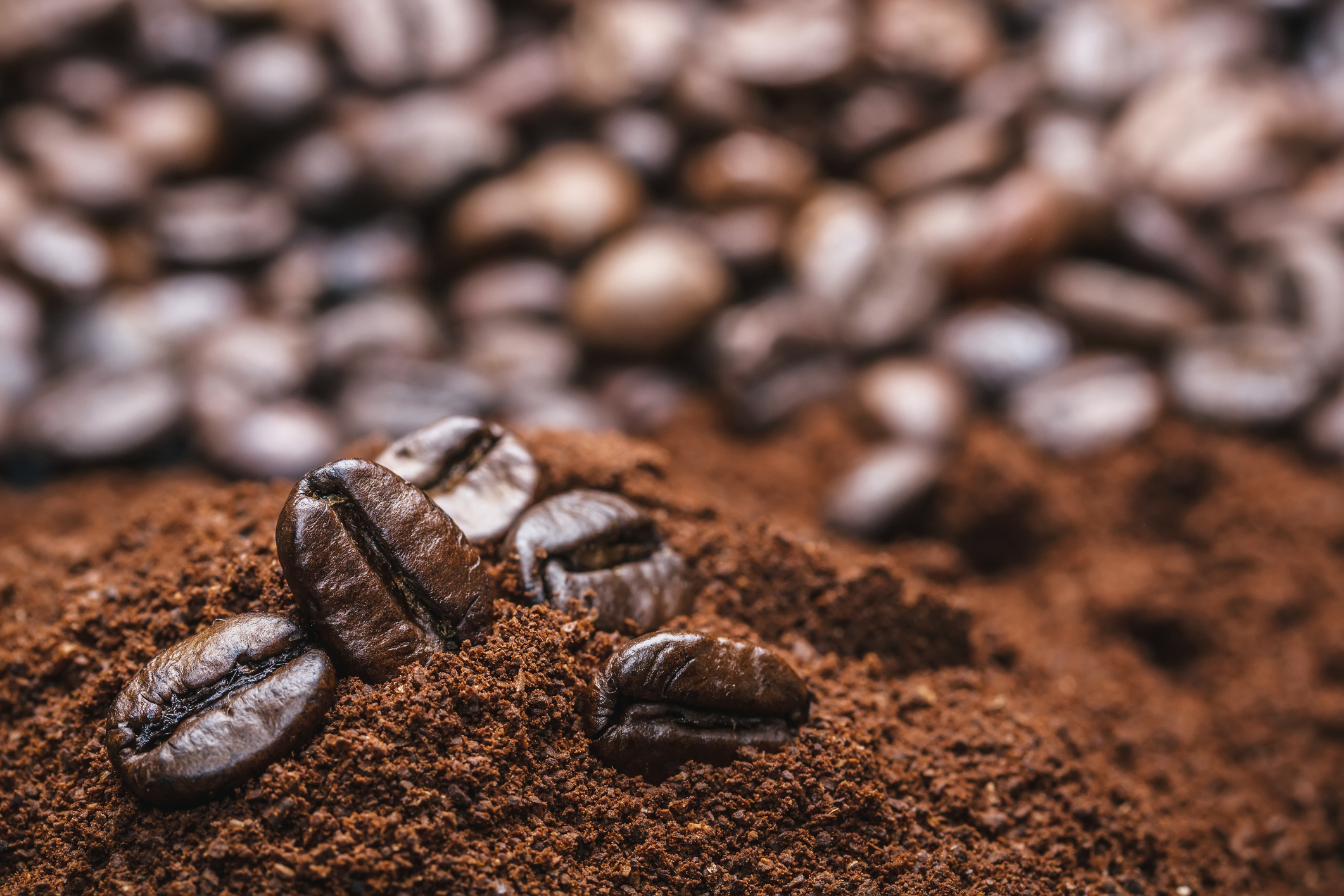 xuất khẩu cà phê toàn cầu