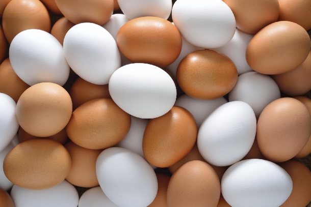 Phương pháp chăn nuôi giúp gà sinh sản đẻ nhiều trứng