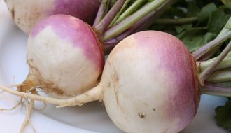 Củ cải turnip - Dinh dưỡng và công dụng không ai ngờ tới