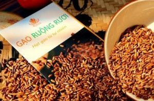 Xây dựng thương hiệu đặc sản gạo ruộng rươi tại Hải Phòng